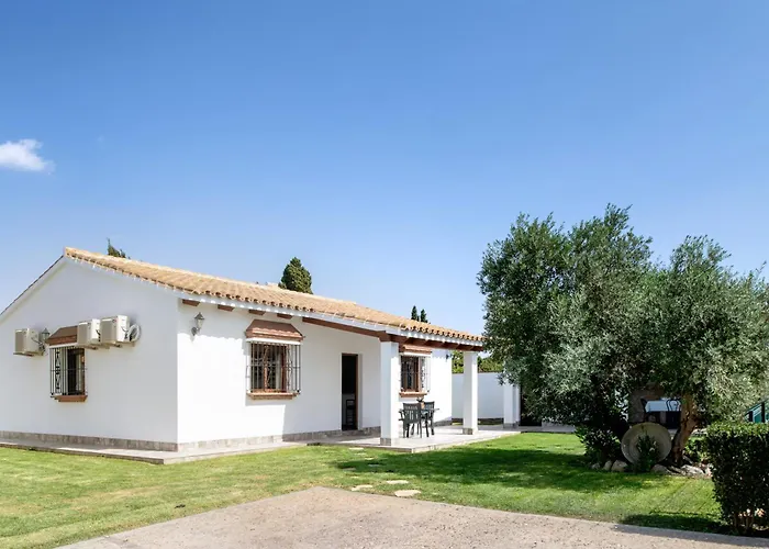 Lantställe Mendoza Olivo Conil De La Frontera